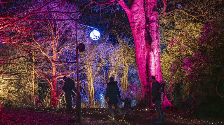 Visitors, including parents with a small child who is holding his mothers hand, walking around the light trail at Sizergh. The trees are lit up in different colours and Victorian-style lampposts are hung with luminous globes.